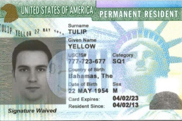 Skipping Green Card for US Citizenship...